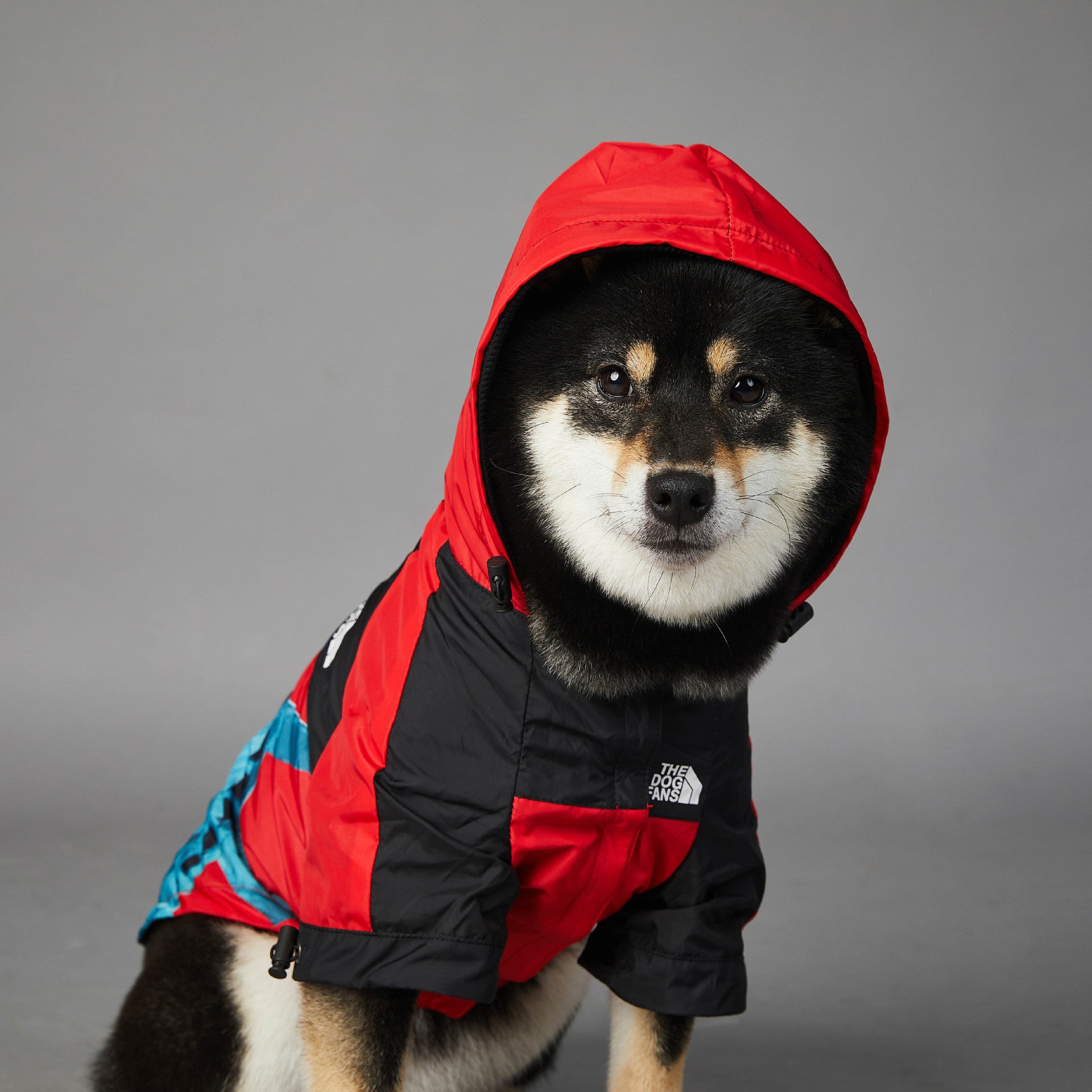 Impermeabile Liberty Chic per cani - The Dog Fans - Dog Moda