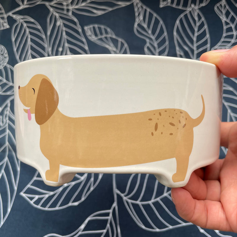 Ceramic Bowl for Dogs and Cats – Style, Quality and Safety for Your Four-Legged Friend