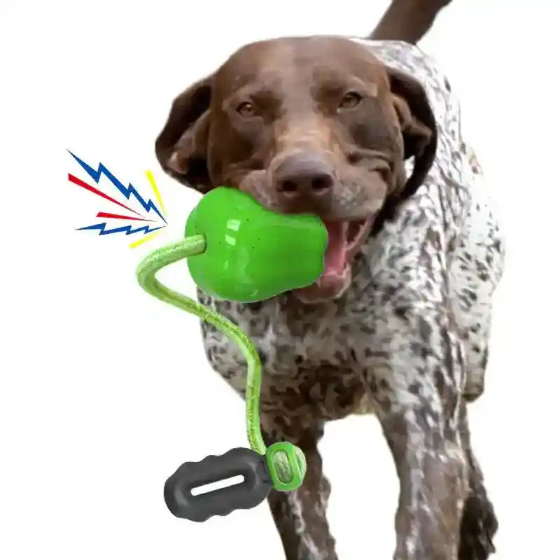 Gioco Corda Mela per Cani - Resistente e Atossico by Dog Moda