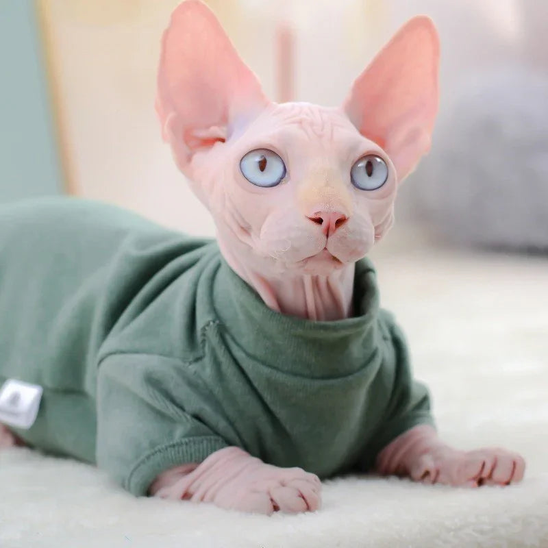 Maglia per Gatti Sphynx Invernale - Dralon Elasticizzato e Morbido