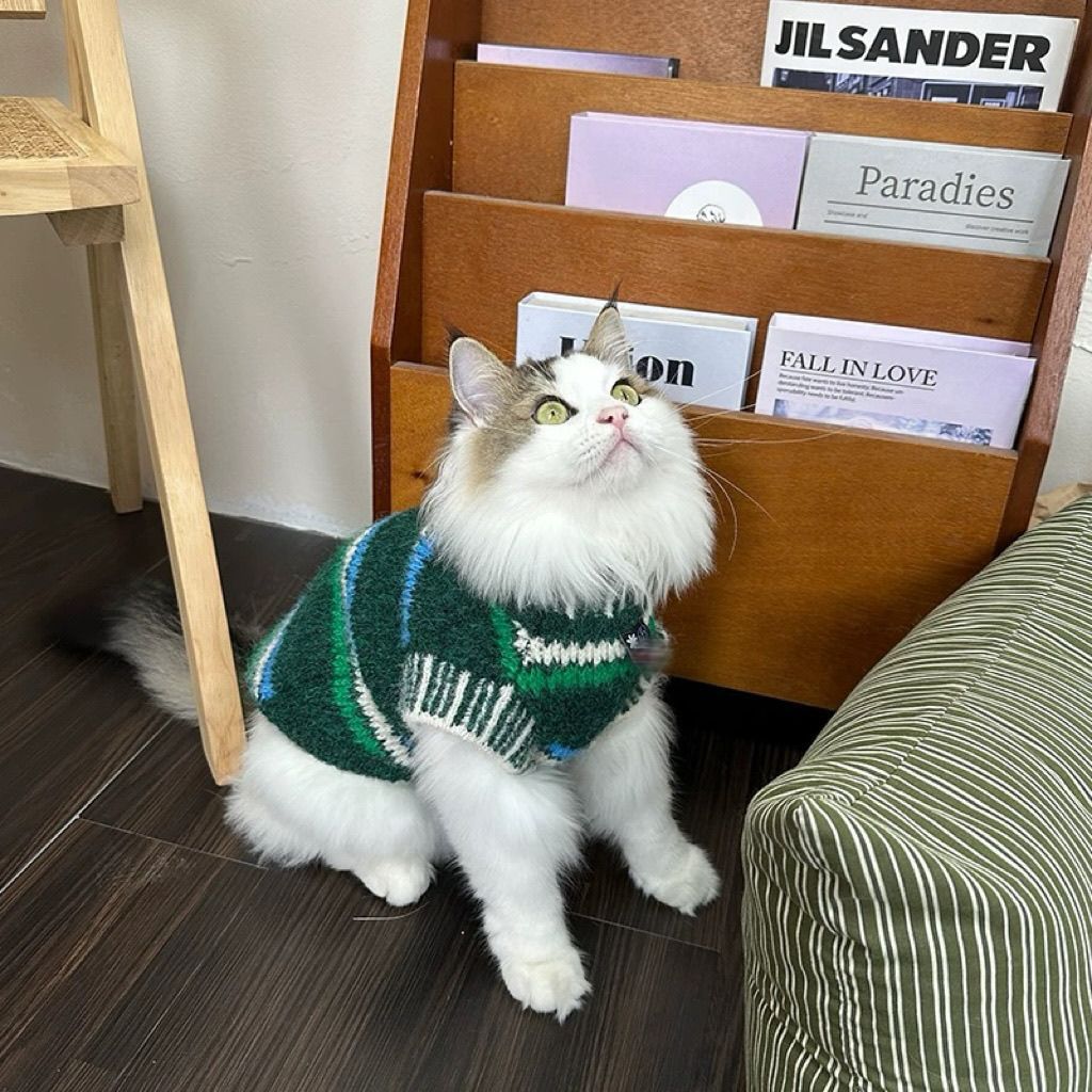 Jersey para Gatos de Rayas Bicolor - Lana y Terciopelo