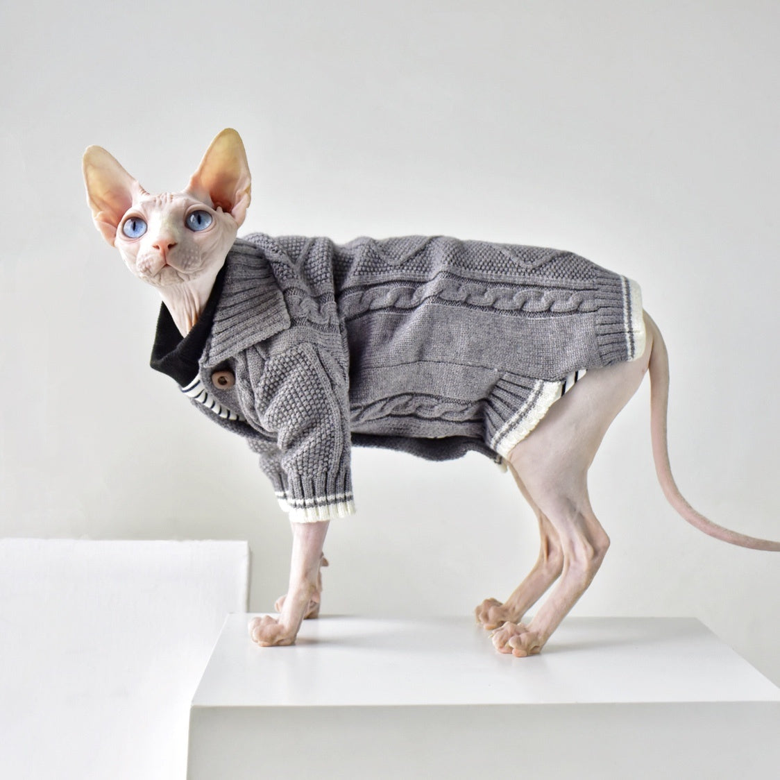 Maglione Elegante per Gatti Sphynx – Stile e Comfort per Ogni Stagione