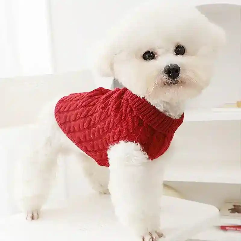 Maglione Cane Caramello Intrecciato - Smanicato Colletto by Dog Moda