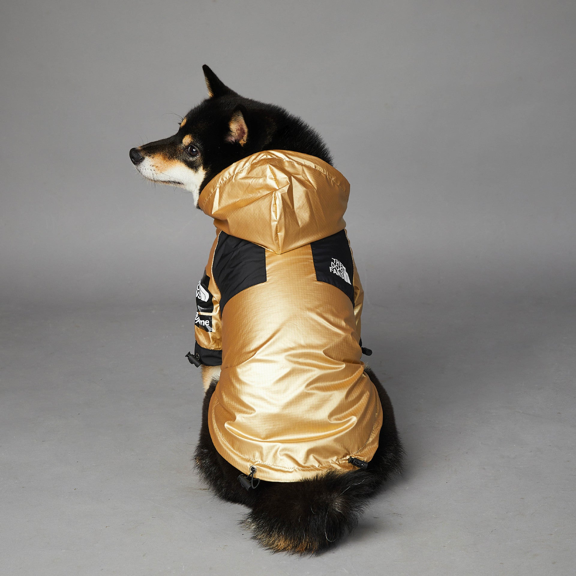Impermeabile "Gold & Black" by Dog Fans - Eleganza e Funzionalità per il Tuo Cane - Dog Moda
