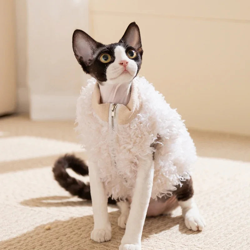 Gilet Lana Agnello Cani Gatti - Panda You Shine Bianco