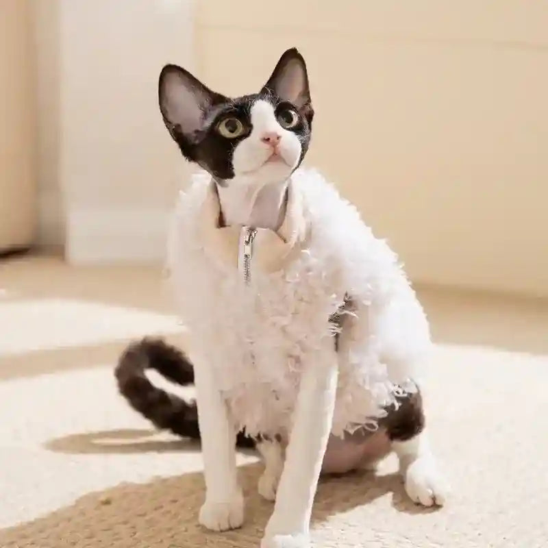 Gilet Lana Agnello Cani Gatti - Panda You Shine Bianco by Dog Moda