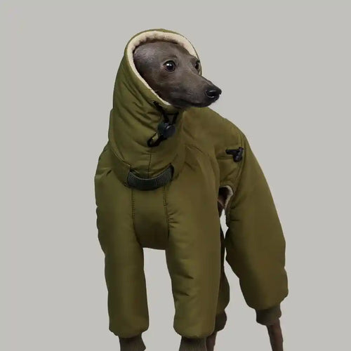 Cappotto Levrieri Galgo Español - 4 Zampe Imbottito Pile by Dog Moda