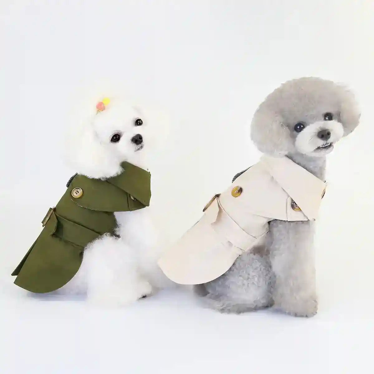 Cappotto leggero elegante per cani piccoli con bottoni e colletto by Dog Moda