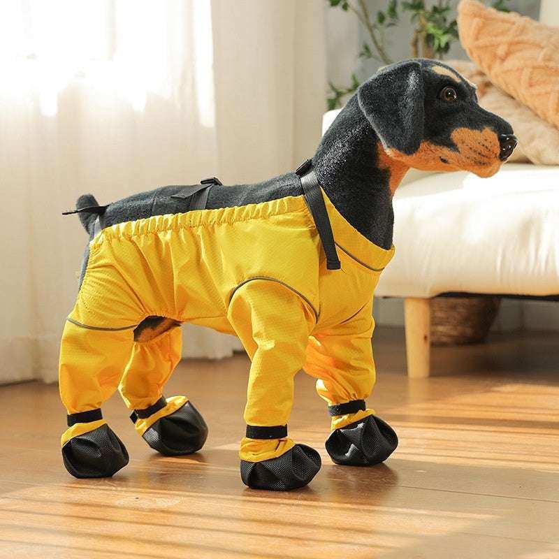 Pantaloni Impermeabili per Cani con Scarpe | Antipioggia e Vento