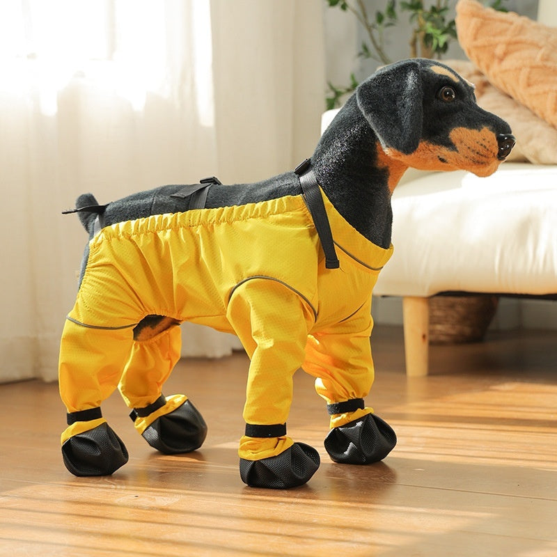 Pantaloni Impermeabili per Cani con Scarpe | Antipioggia e Vento