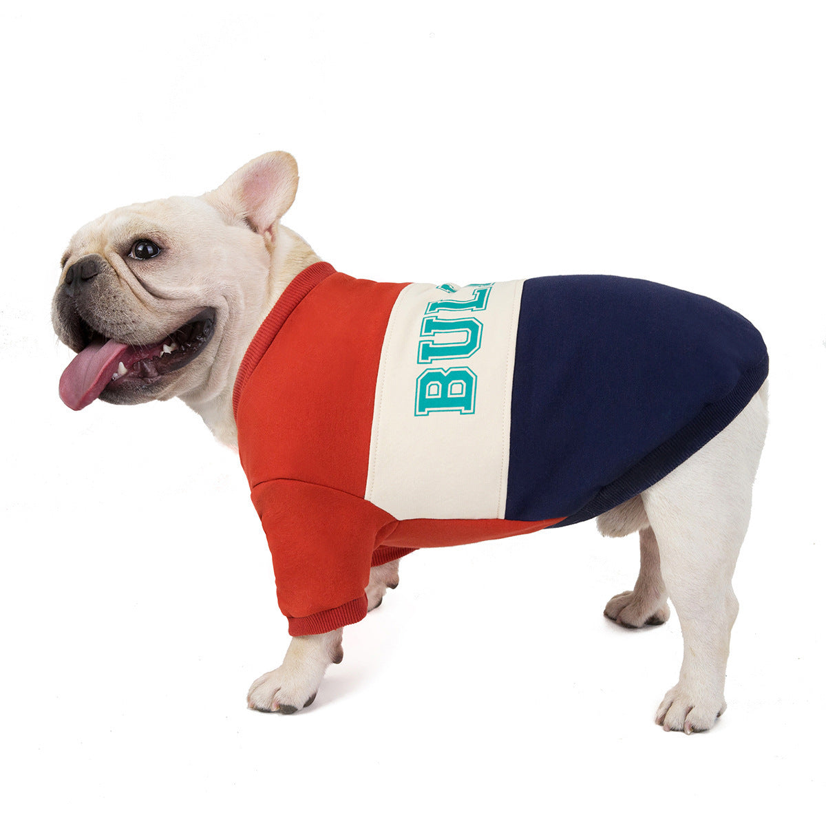 Felpa Casual per Cani Bulldog con Scritta "Bulldog" - Perfetta per Toraci Prominenti