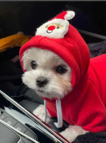 Vestito Natale per Cani con Cappuccio | Babbo Natale e Albero