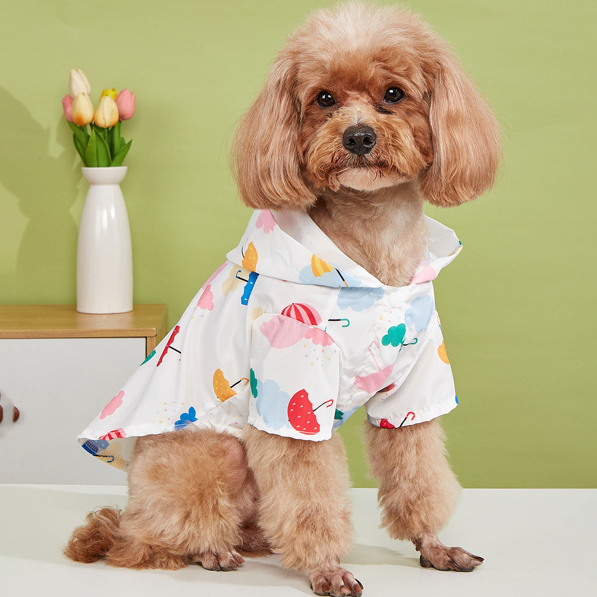 Imperméable Maltipoo avec Capuche - Imprimé Parapluies Colorés