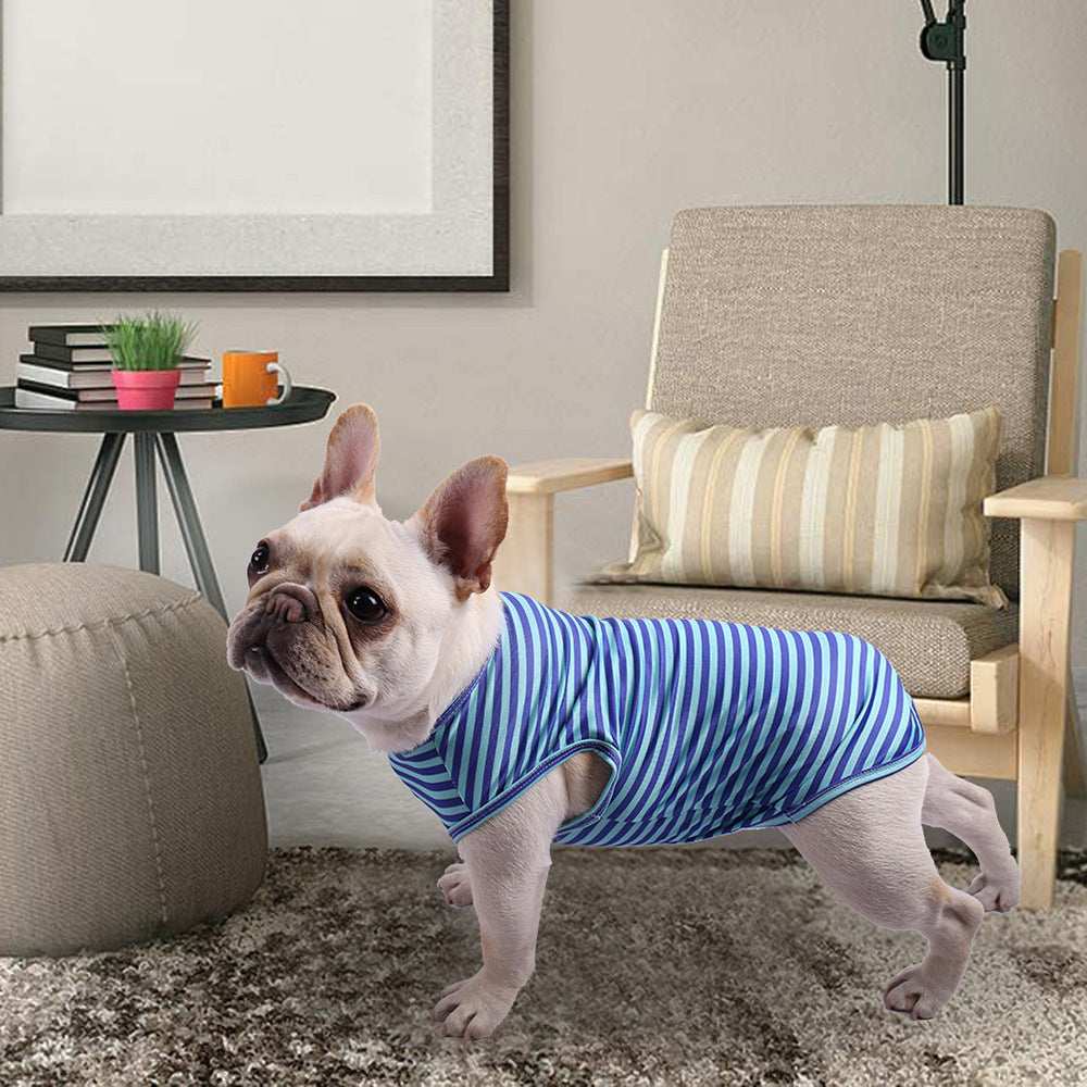 Striped Dog Shirt "Portofino"