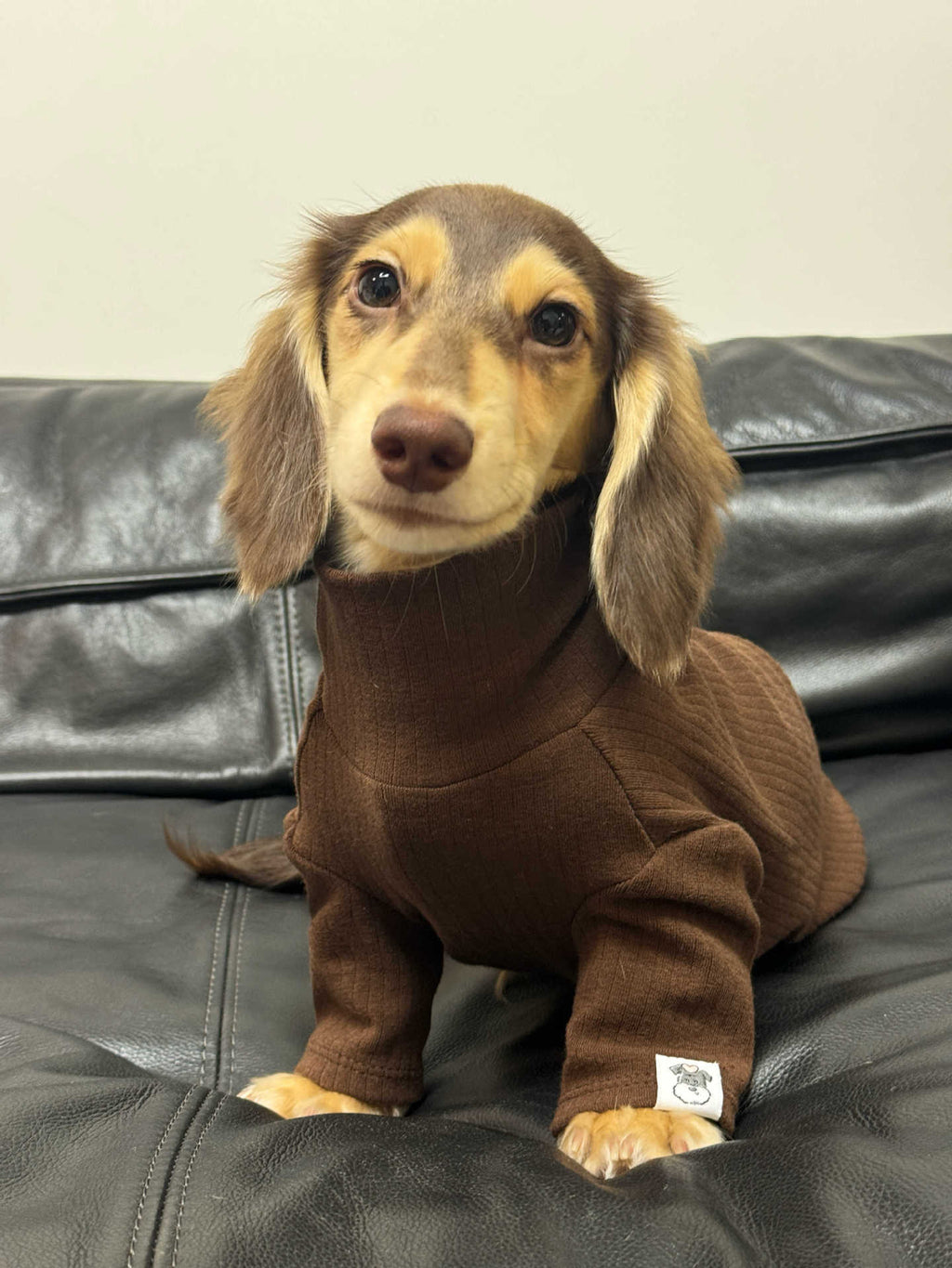 Jersey de Cuello Alto para Perros y Gatos - Algodón Suave Insta-Style