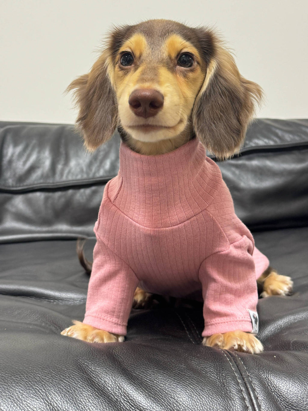 Jersey de Cuello Alto para Perros y Gatos - Algodón Suave Insta-Style