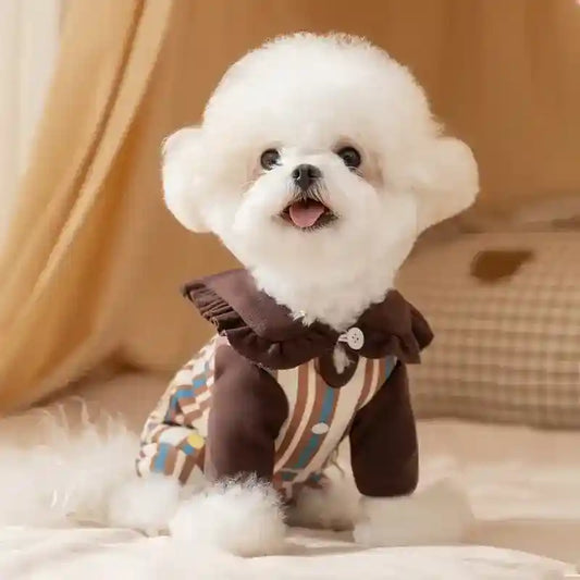 Tutina Arlecchino per Cani a Righe con Orsetto 4 Zampe by Dog Moda