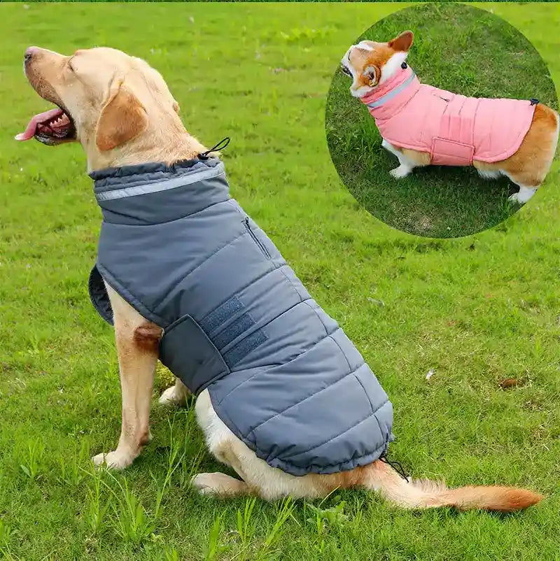 Abrigo impermeable para perros con velcro y detalles reflectantes
