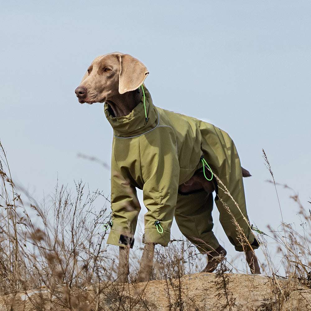 Impermeabile 4 Zampe VPetrr per Cani Taglia Grande | Antipioggia