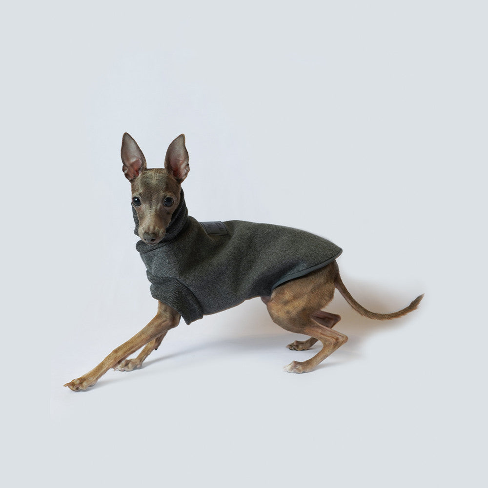Pinscher Sweatshirt in Grey Flannel Model "Milo" - Comfort and Style for Your Four-Legged Friend