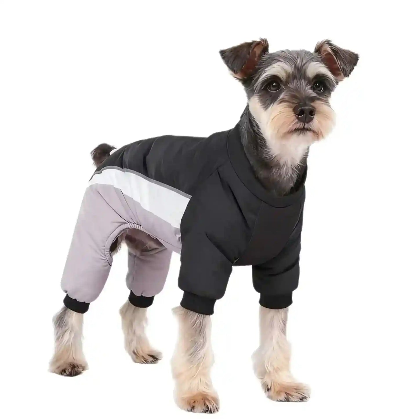 Cappotto Blizzard Impermeabile per Cani - Neve e Ghiaccio by Dog Moda