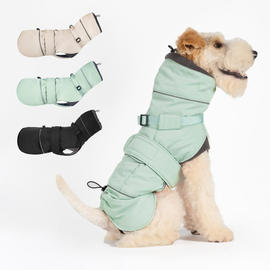 Tailored Waterproof Dog Coat - Padded