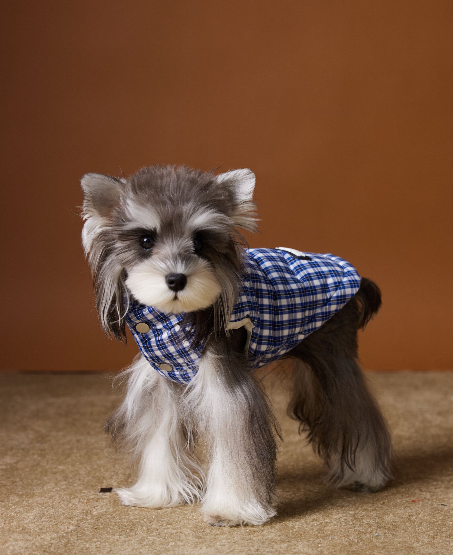 Piumino TNbr per Cani Smanicato - Quadretti Blu e Bianchi