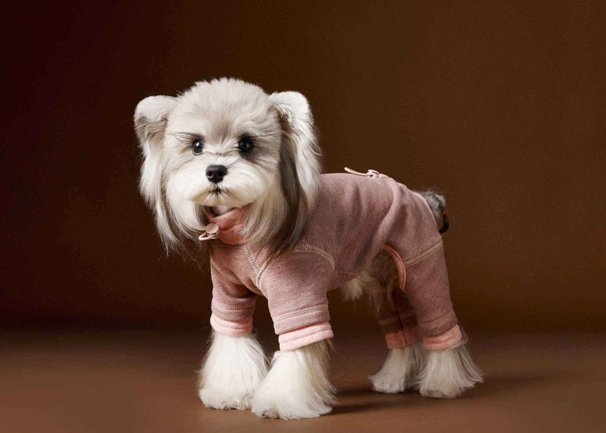 Tutina Cane Tawney Bear - Pigiama Elasticizzato Comfort by Dog Moda