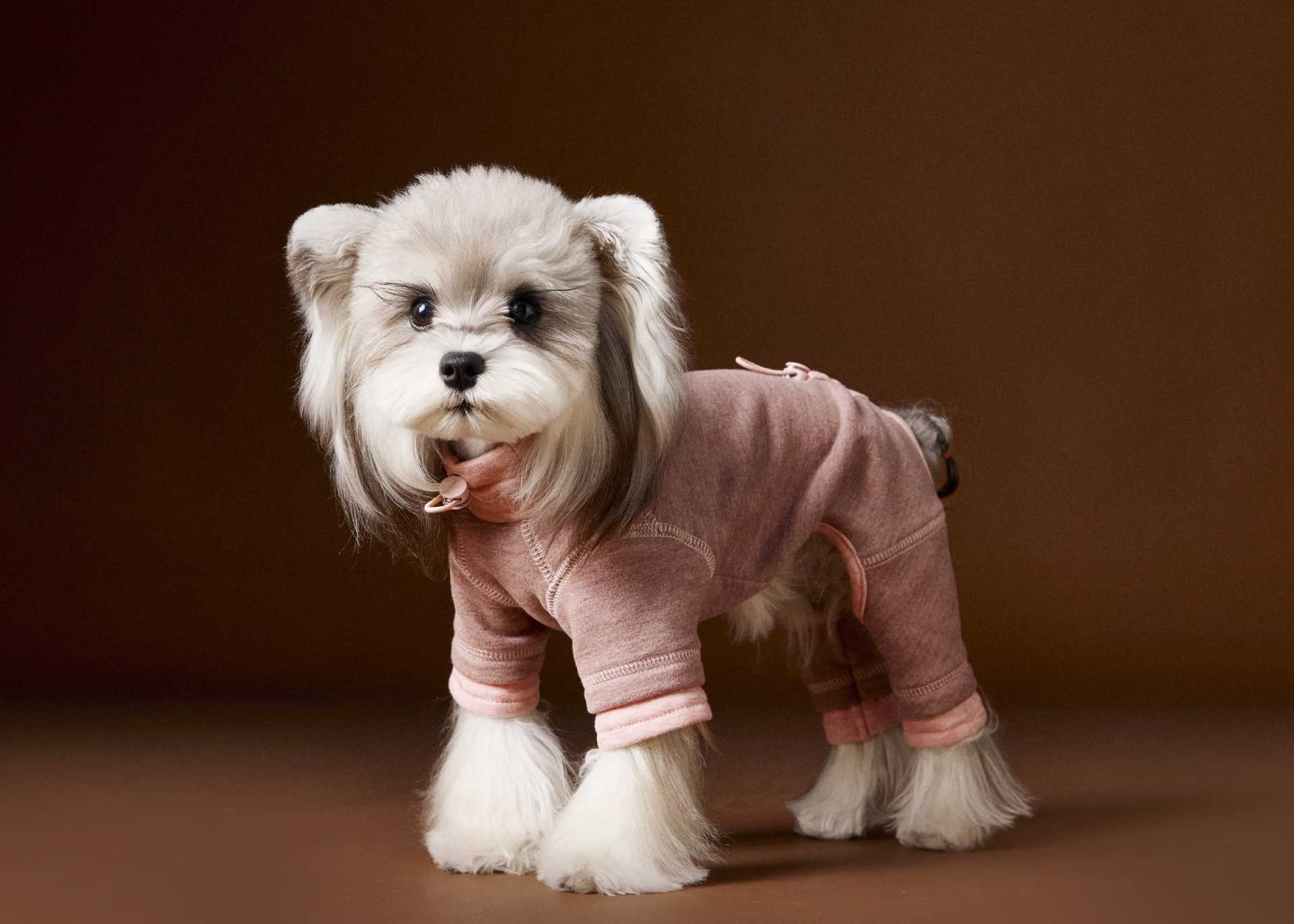Tawney Bear Dog Onesie - Stretchy Comfort Pajamas