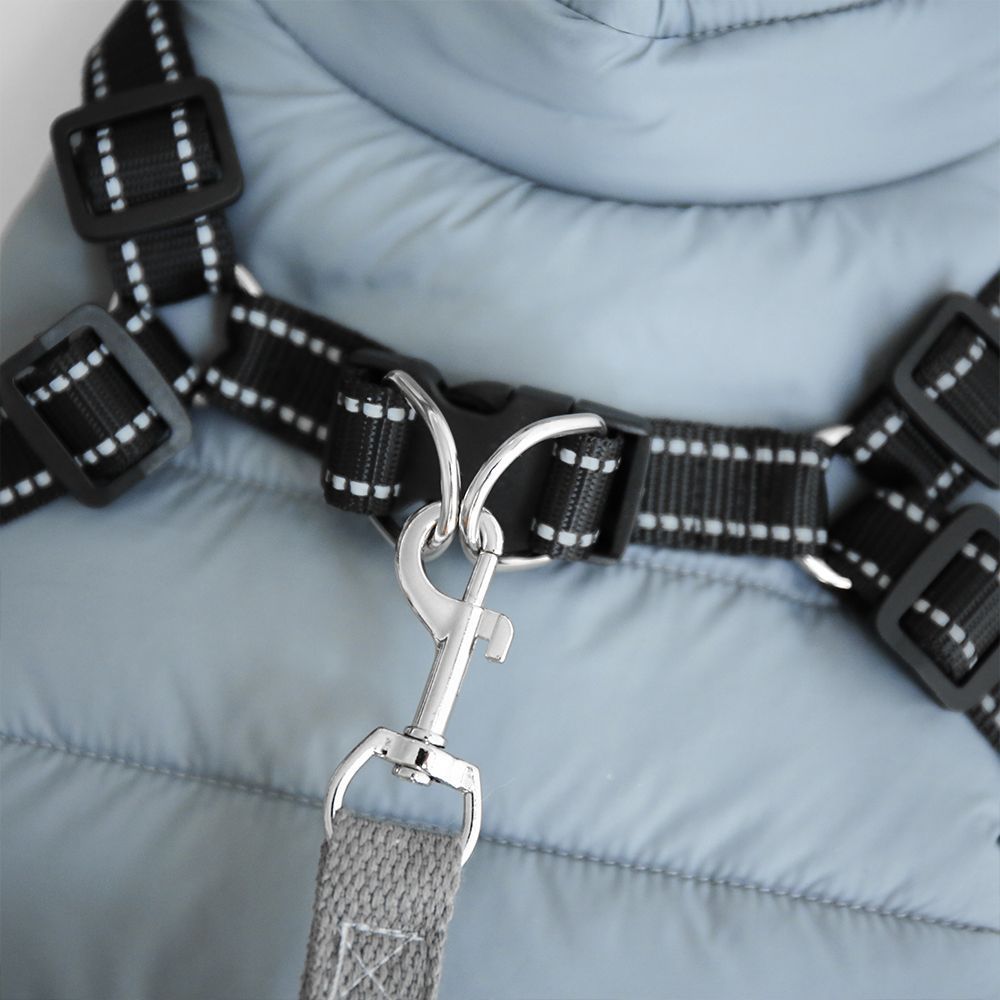 Padded Dog Coat with Integrated Harness