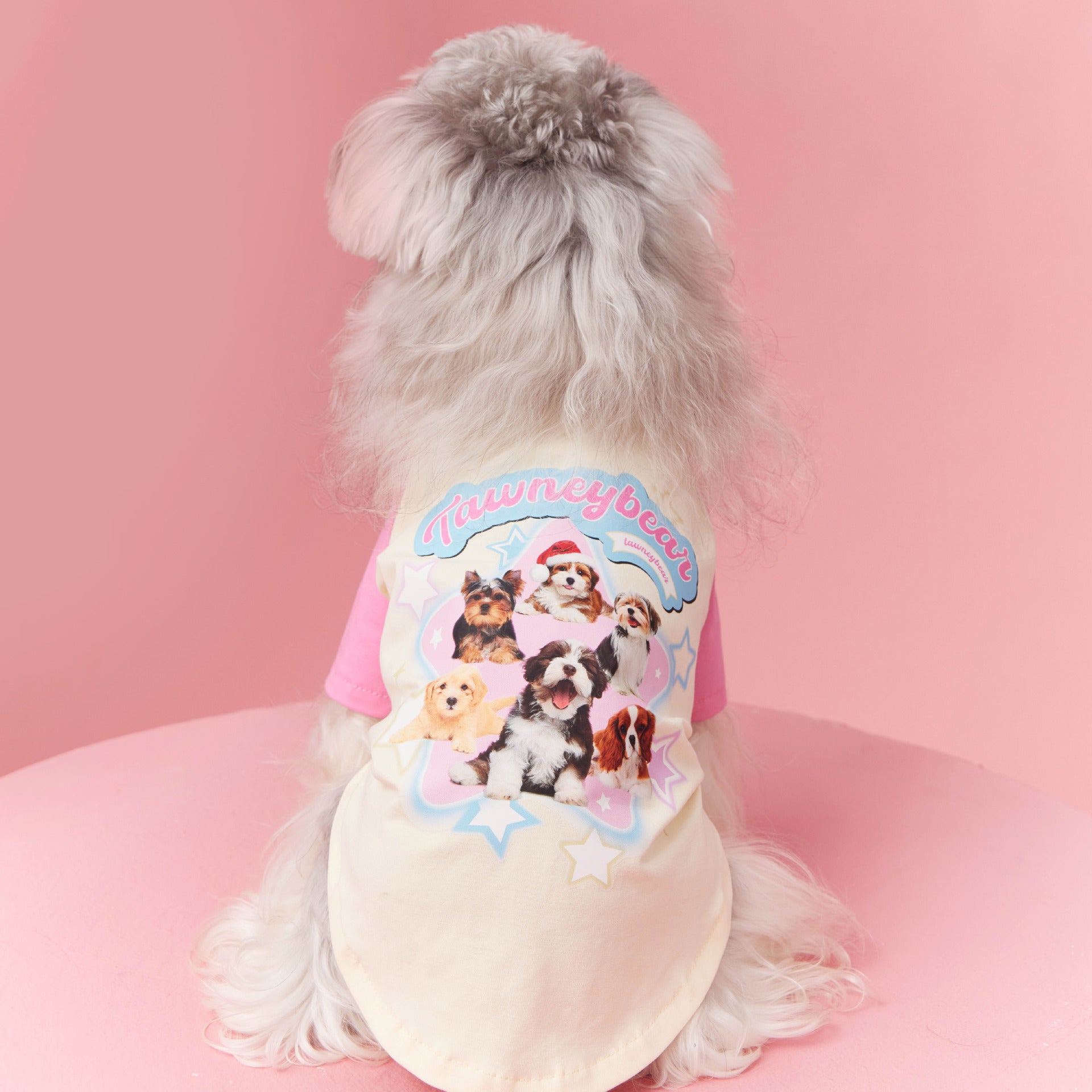 Maglietta a Maniche Lunghe per Cani di Piccola Taglia Modello "Towney Bear" – Stile e Comfort per il Tuo Cucciolo