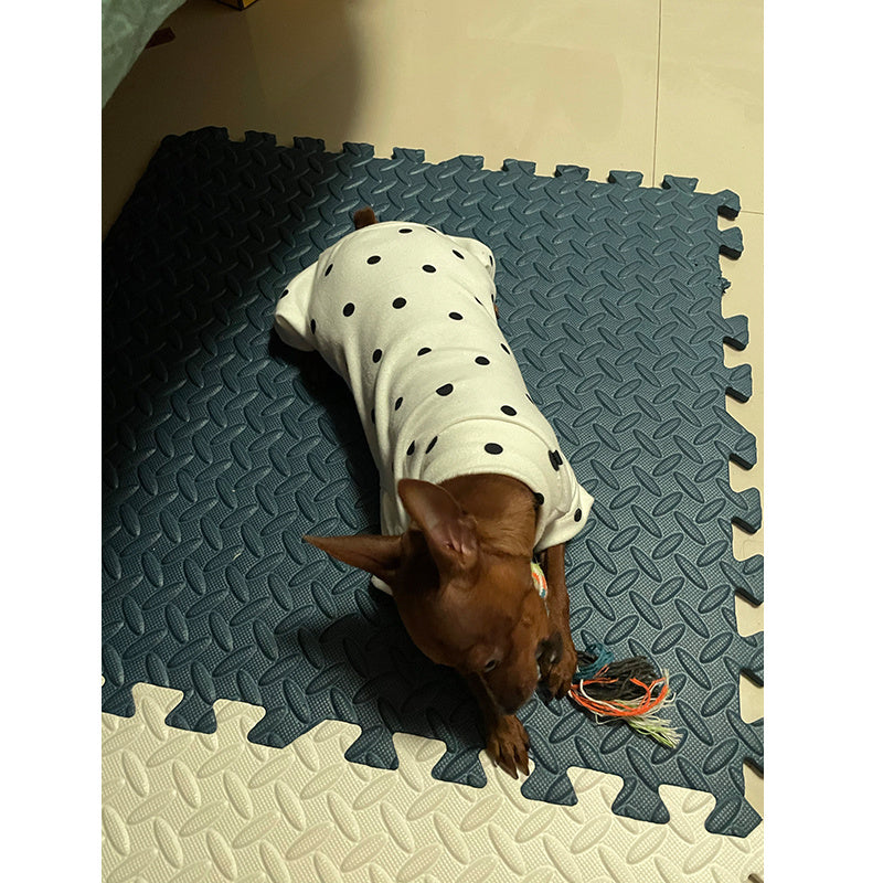 Dress for Dogs and Poodles "Pink with Polka Dots"