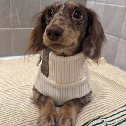 Hund- och katttröja i beige och brunt för höst och vinter