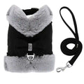 Dog Harness with Bow and Adjustable Leash