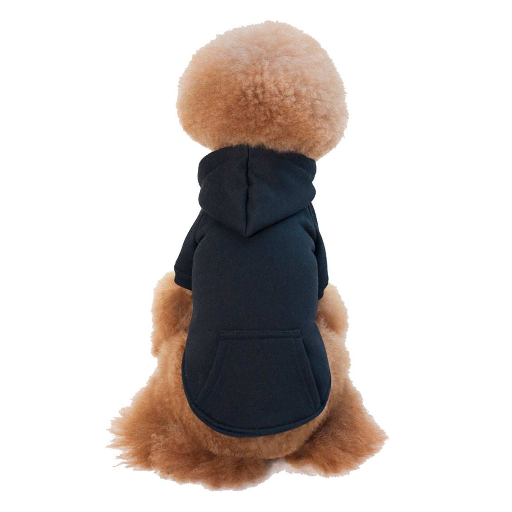 Basic Hooded Cat Sweater with Pocket