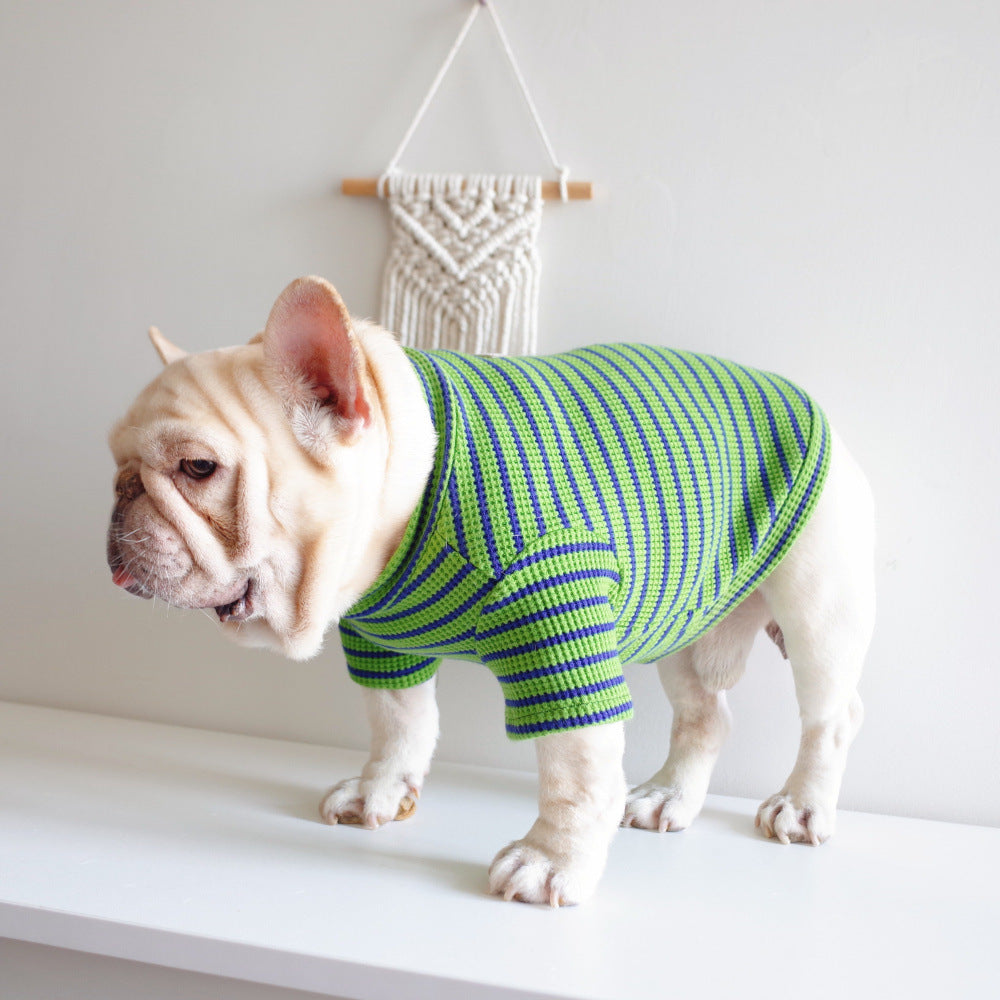 Green and Blue Striped Cotton Dog T-Shirt "New Fashion"