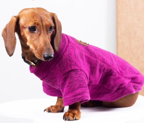 Fashion Dog Hoodie with Harness Ring - XS to 6XL