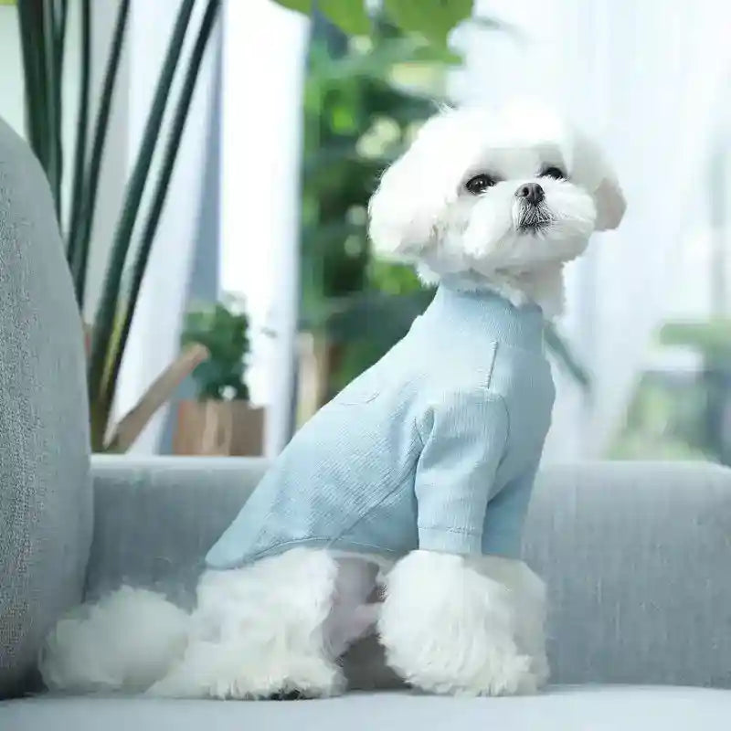 Maglia Cani Barboncino - Gilet Coordinato Elasticizzato by Dog Moda