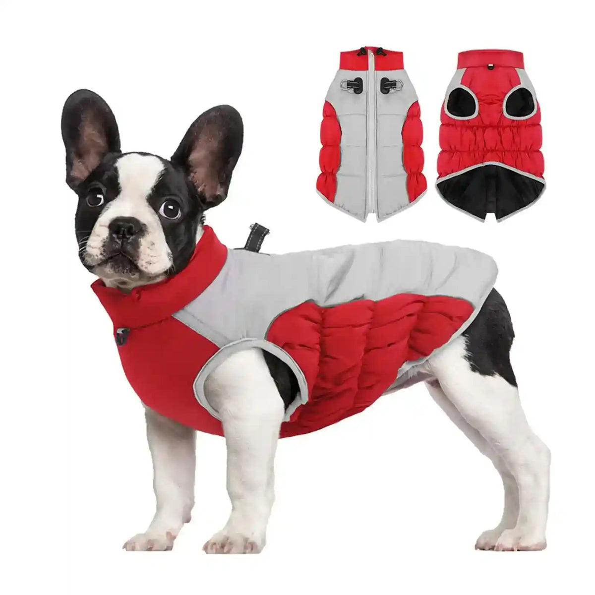 Cappotto Impermeabile Cani Passepartout con Zip e Pettorina by Dog Moda