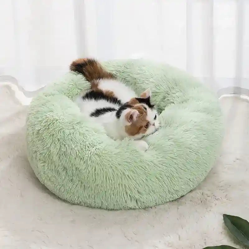 Cuccia Tonda Pile Cani Gatti Imbottita Antiscivolo by Dog Moda