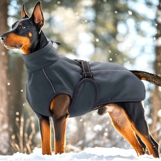 Cappotto invernale per cani Astra, arancione con inserti riflettenti, indossato da un Labrador.