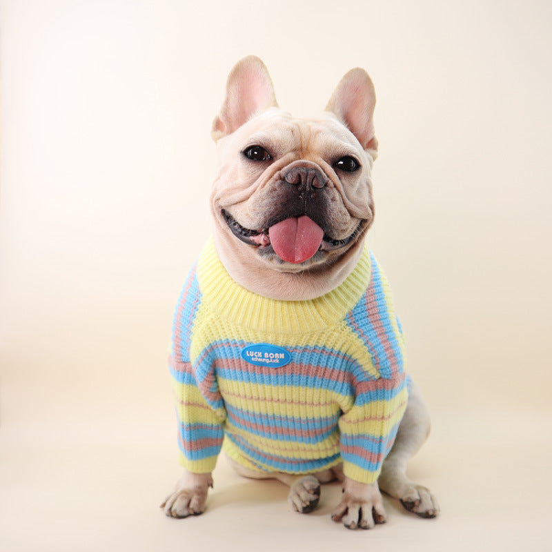 Maglioncino per cani "Abbraccio di Lana" - Dog Moda