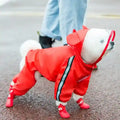 Small white dog wearing a red waterproof raincoat with hood and booties on wet pavement