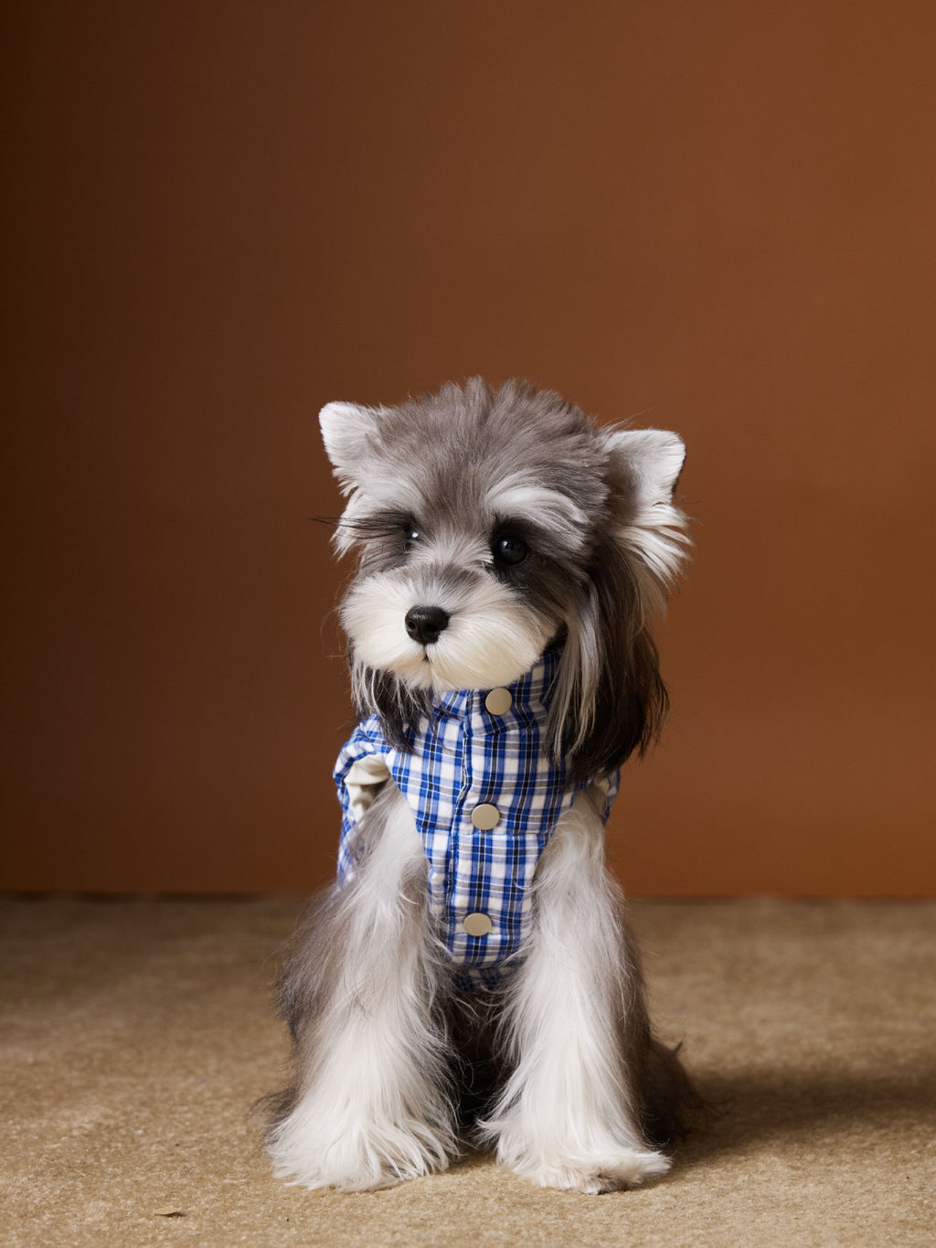 Piumino TNbr per Cani Smanicato - Quadretti Blu e Bianchi