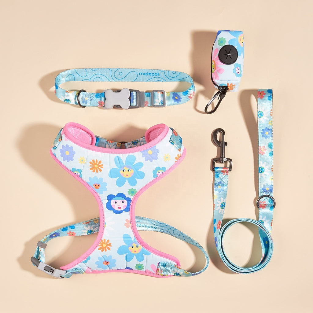 Ensemble harnais laisse sac pour chiens de grande taille "Wonderland"
