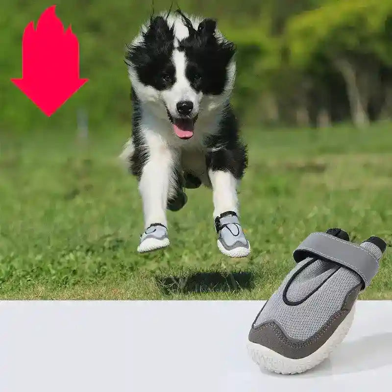 Scarpe per Cani Traspiranti - Antiscivolo Riflettenti by Dog Moda