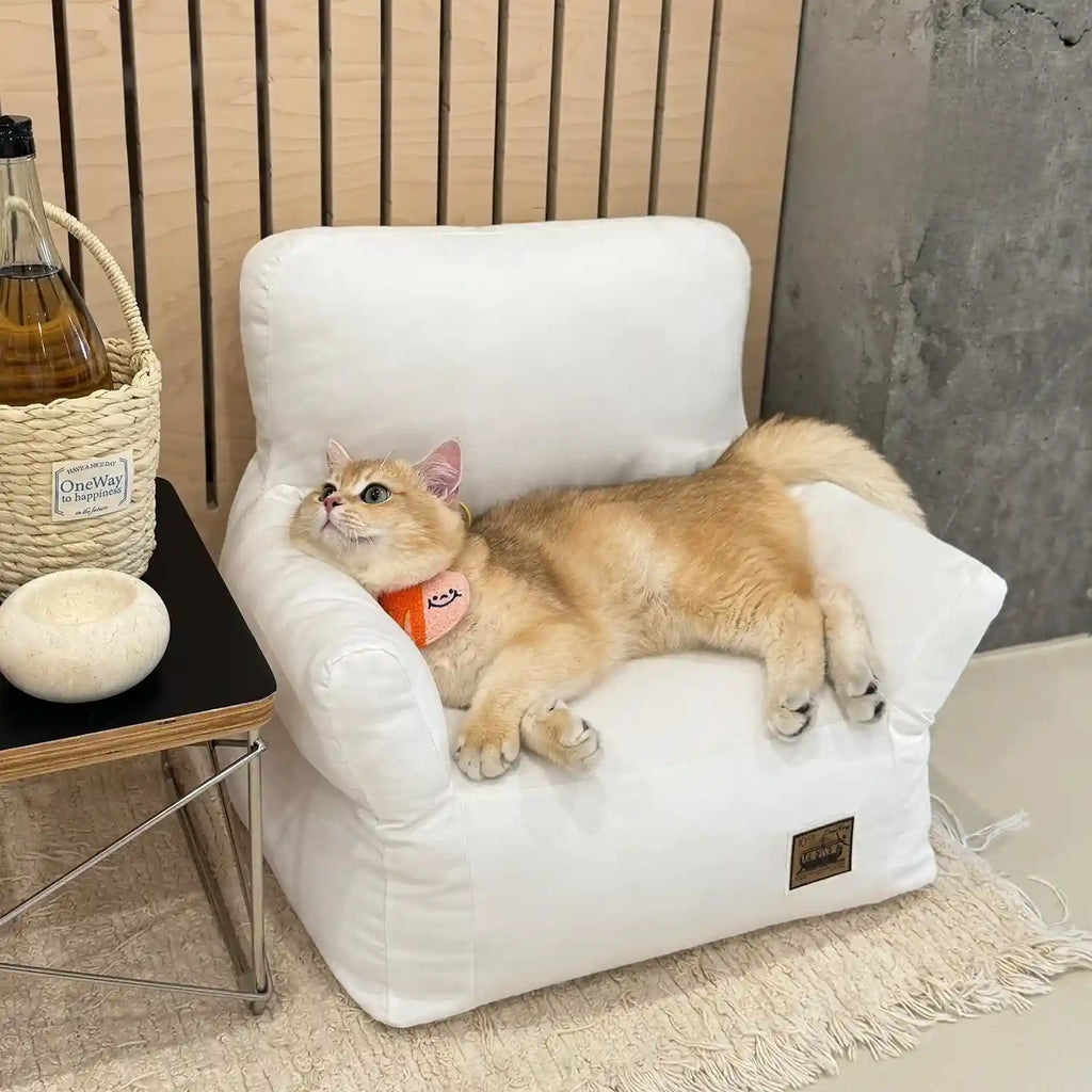 Cat Sofa Bed - Premium Comfort