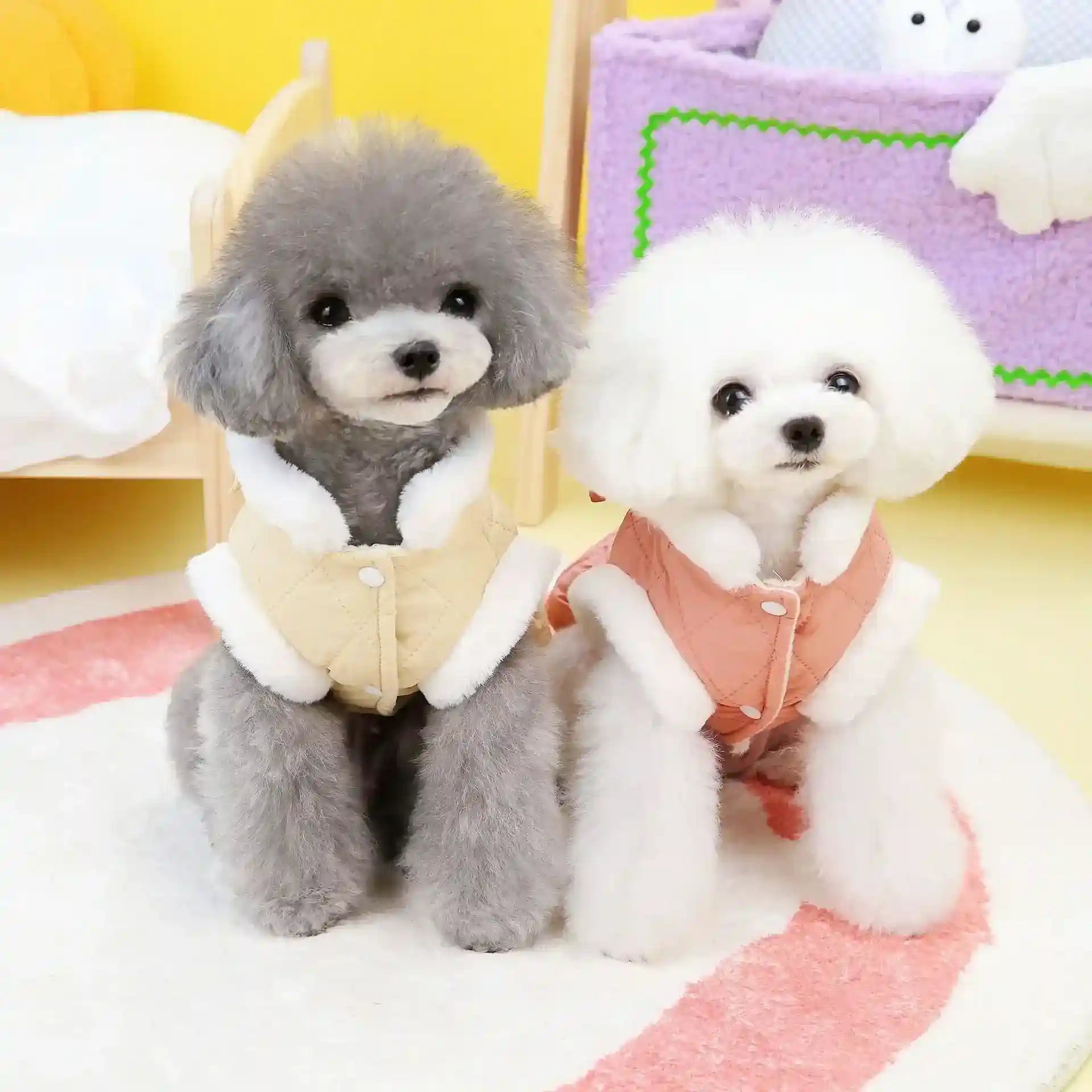 Cappottino Pile Cane Maltese Smantito | Caldo Smanicato con Fiocco by Dog Moda