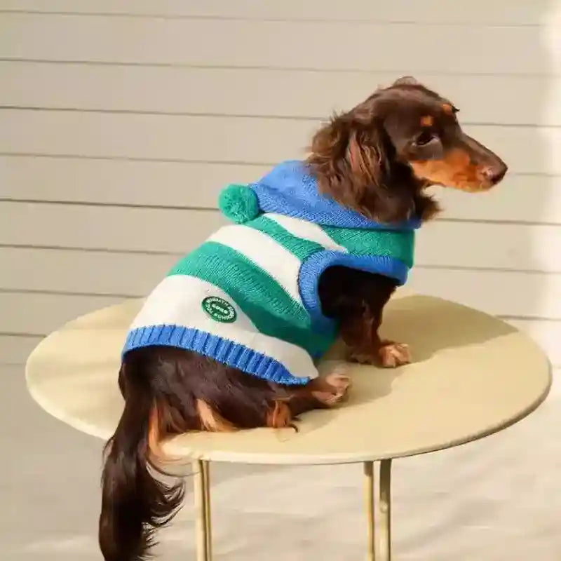 ピークスフード付き犬用セーター - 暖かいブルーストライプ