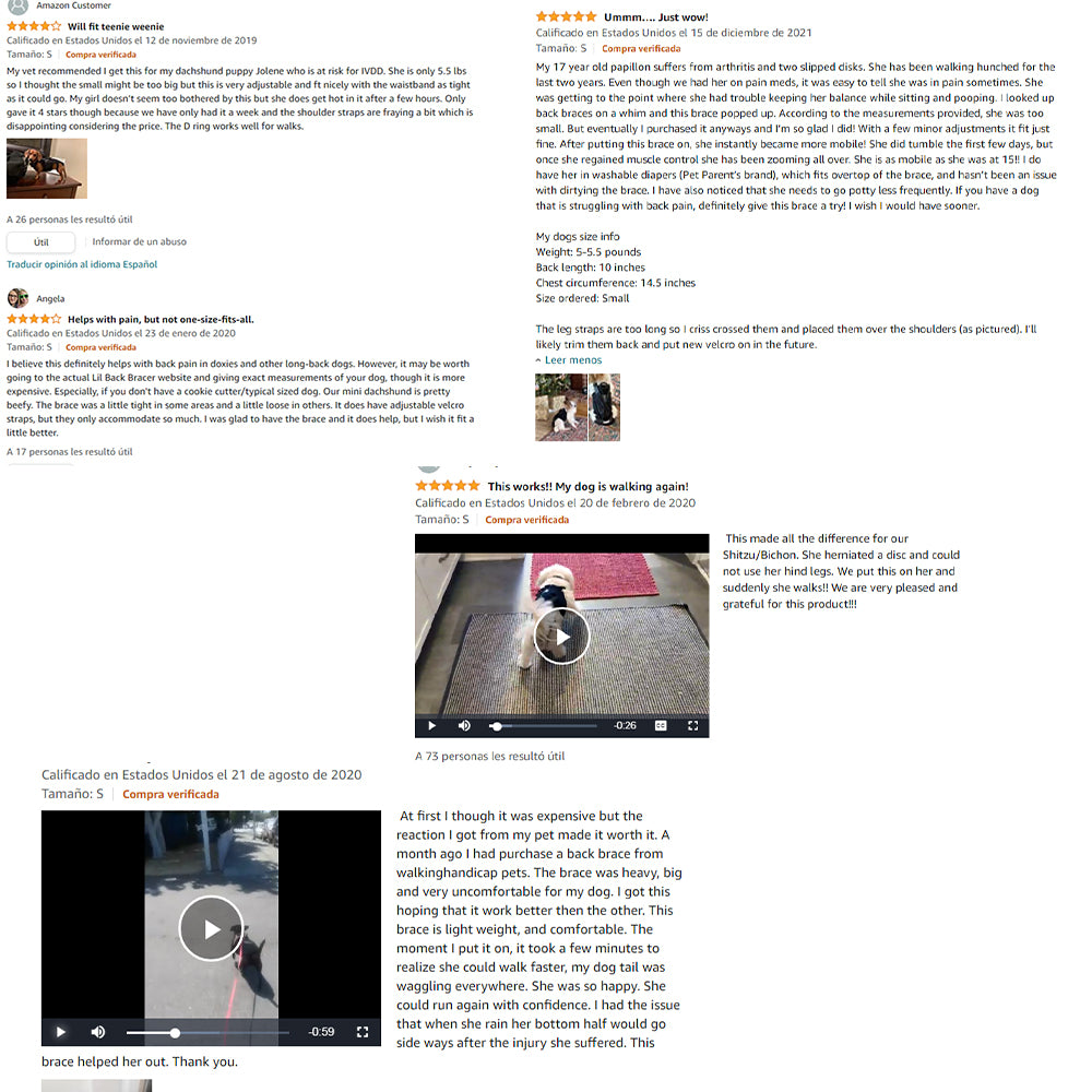 Tutore Ortopedico per Cani - Supporto Schiena IVDD by Dog Moda